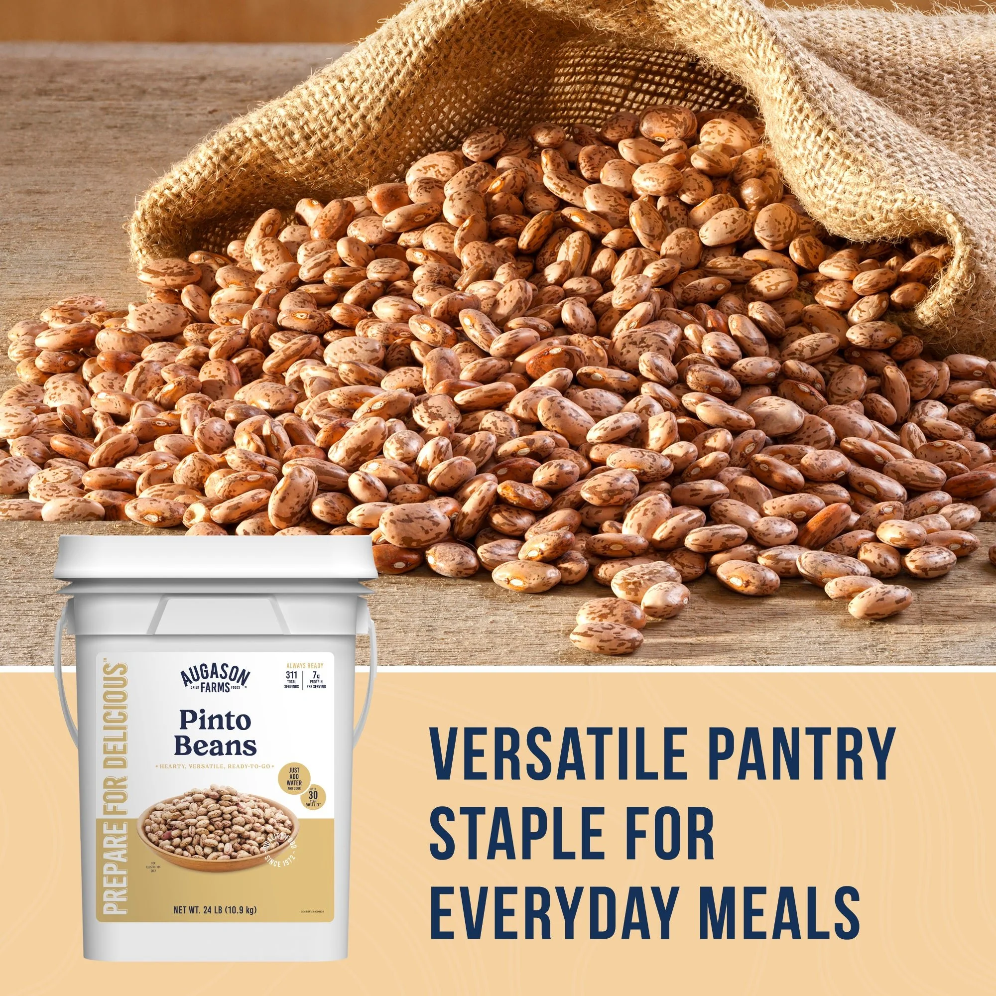 Dried Pinto Beans 4 Gallon Pail, 311 Servings - Image 7